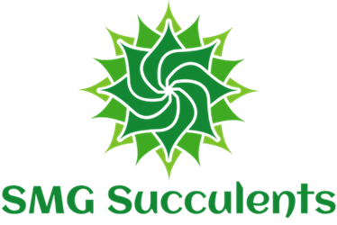 SMG Succulents